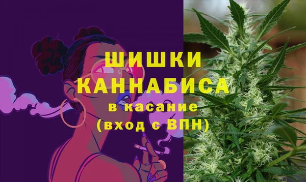 бутират Бородино